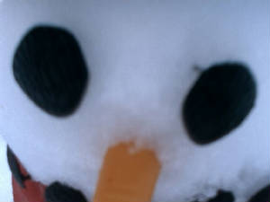 snowman5.jpg